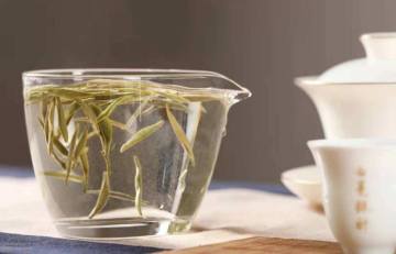 安吉白茶 下雪(千年安吉白茶母树银装素裹，浙西北这场雪影响哪些浙江名茶？)