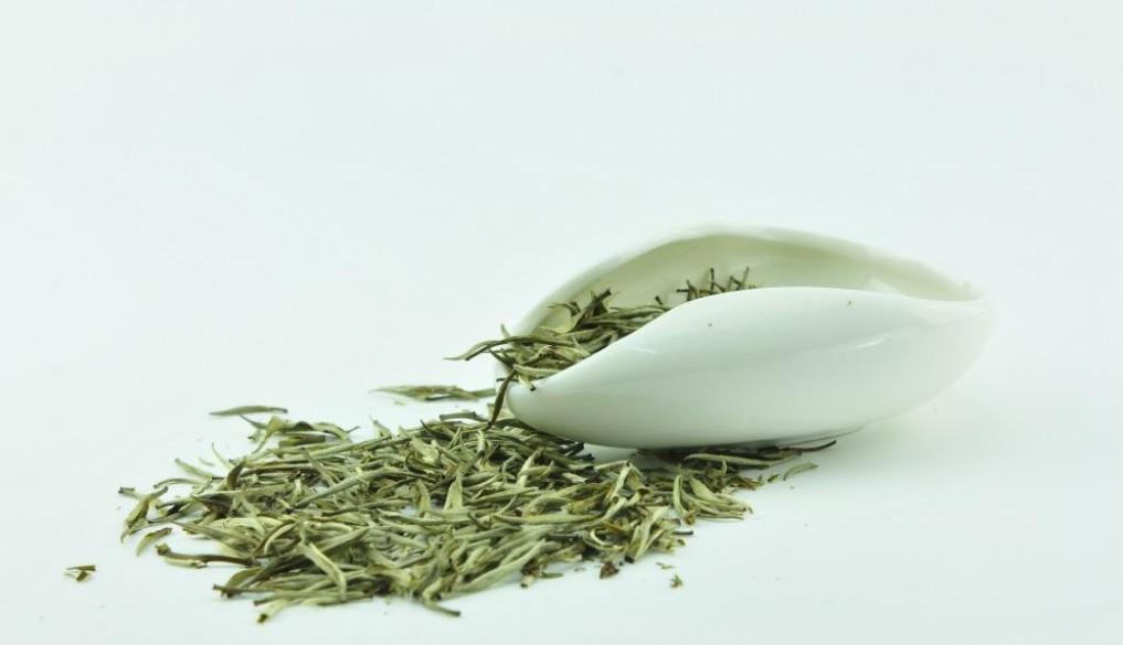 莱芜白毫银针(中国六大茶类中最小众的一类——黄茶)