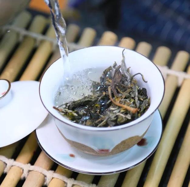 2022白毫银针行情(2023年春白茶采摘在即，今年的春茶品质如何？村姑陈说了2个细节)