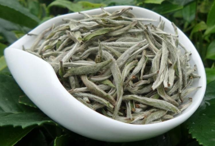 白毫银针中国十大名茶(每日认识一款茶 | 如银似雪 | 中圆十大名茶之一·白毫银针)