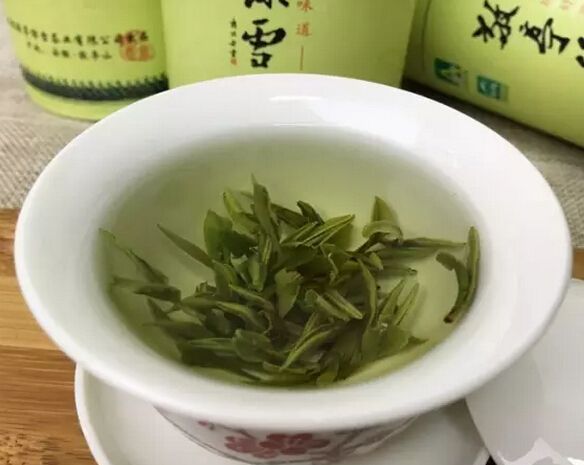 藏生茶视频大全(为什么很多人都喜欢“藏生茶”？)